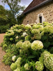 B&B / Chambres d'hotes Le Manoir de Maucartier : photos des chambres