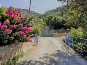 Palaiopoli View Studio Andros Greece