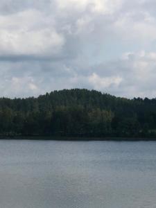 Paukoje Apartamentai