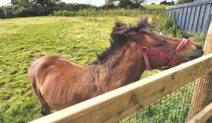 Valley Lodge Room Only Guest House