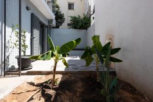 Kalamata Center Ground Floor 2BR Apt with Small Yard & 1Gbps Fiber