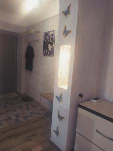 Студия в Центре СКАЛА