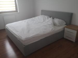 Apartament Przy Aquaparku