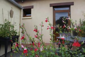 Appartements Au Nid-Opale : photos des chambres