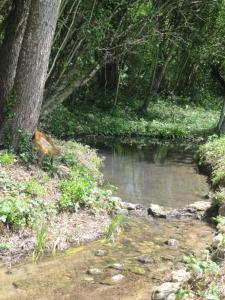 Campings Camping du Mouchet : photos des chambres