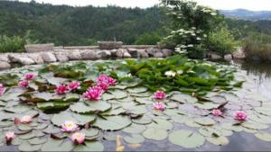 CHAMBRES DHÔTES DE MALVALETTE