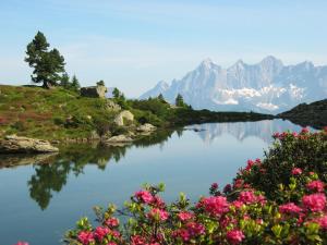 Haus Alexander Schladming 2019 Reviews Pictures Deals