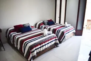 En el Centro 1 Hermoso Lof't Familiar AC WiFi 300 mbps - Aguascalientes