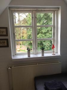 Ro i skoven - men tæt på byen