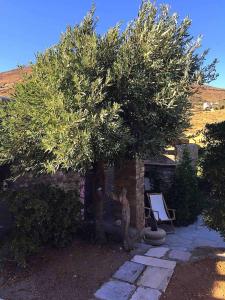 Stone house Anemos Tinos Greece