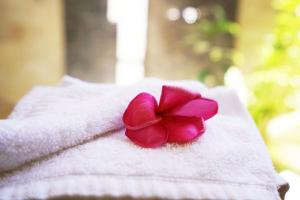 Bungalow Twin with Pool View