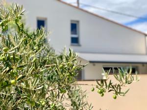 Les Villas Black&White : photos des chambres