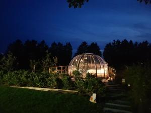 La bulle au bois dormant dovifat