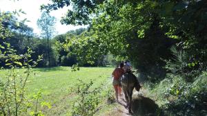 B&B / Chambres d'hotes La Ferme des Andes : photos des chambres