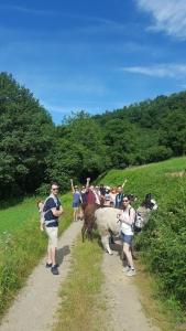 B&B / Chambres d'hotes La Ferme des Andes : photos des chambres