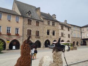 B&B / Chambres d'hotes La Ferme des Andes : photos des chambres