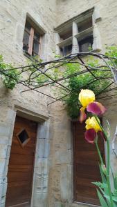 B&B / Chambres d'hotes La Ferme des Andes : photos des chambres