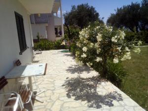 Apartman Ana-Zora