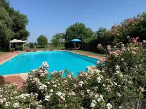 Bordeghina B&B In Farmhouse - Macchiavella