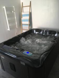 Appartements Gite avec jacuzzi privatif a proximite de l'ocean : Appartement 1 Chambre