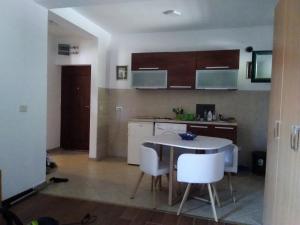 Kamenari new summer holiday