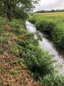 Rejkjær Camping Hytter & Lejligheder