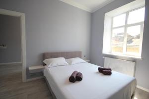 Romantic Panorama Krakivska street