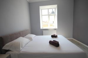 Romantic Panorama Krakivska street