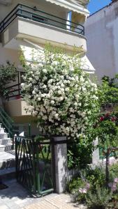 Dimitra Apartments Kavala Greece