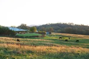 Rosby Guesthouse and Studio - Munghorn