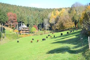 Апартамент Hanselehof Oberwolfach Германия