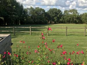 Calme champetre photo 6