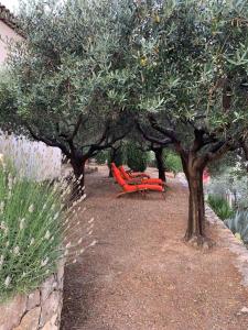 B&B / Chambres d'hotes Le Clos en Provence : photos des chambres