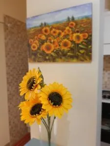 A DUE PASSI DAL BLU - Modi