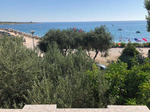 Adriatic House