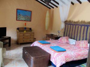 vivelorural Casa en risco de agaete con piscina