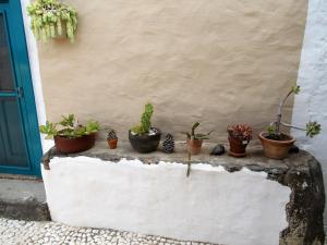 vivelorural Casa en risco de agaete con piscina