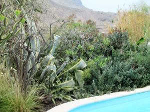 vivelorural Casa en risco de agaete con piscina