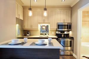 INITIAL - MAITRE - Chutes-Montmorency