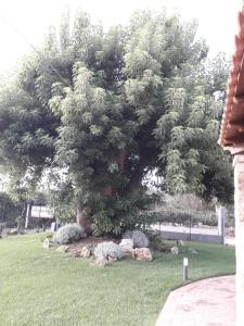 Agriturismo Quattro Mori img31