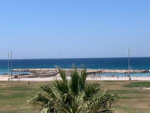 Appartements PRADO PLAGE : photos des chambres