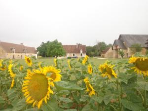 B&B / Chambres d'hotes Gite et chambre d'hotes Du Guillot : photos des chambres