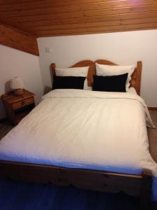 Appartements Les Balcons de Vaujany : photos des chambres