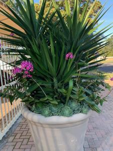 Arum Field Accommodation