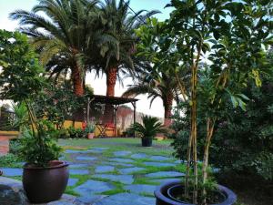 Vivelorural casa La Cuevita, Santa Brígida