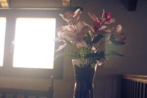 Vivelorural Casa Tunte 2, BBQ y terraza