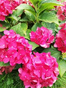 Deštné 371 - Buďte na horách jako doma