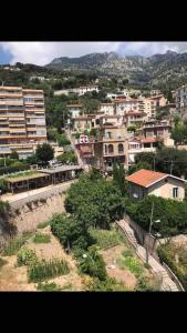 Splendide studio Design frontiere Monaco