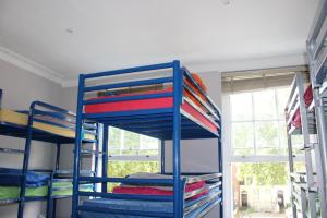 Bed in 10-Bed Mixed Dormitory Room room in Prime Backpackers Angel