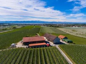 Höhlerhof - Eggenweiler